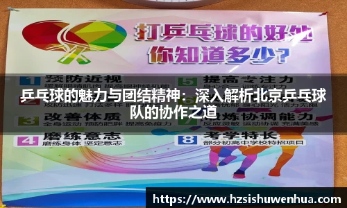 乒乓球的魅力与团结精神：深入解析北京乒乓球队的协作之道